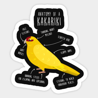 Lutino Kakariki Anatomy Sticker